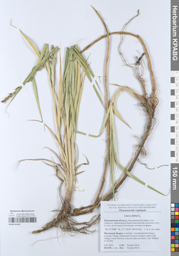 KPABG051947