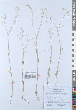 KPABG051949