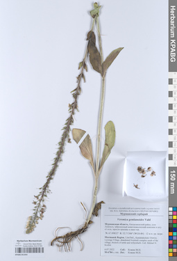 KPABG051954