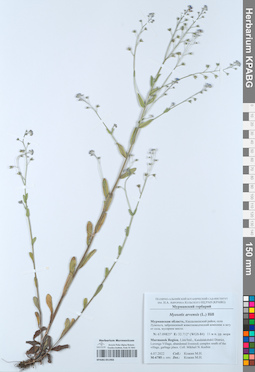 KPABG051966