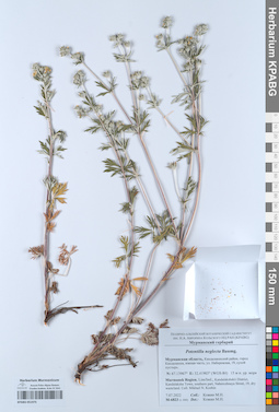 KPABG051975