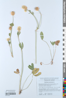KPABG051985
