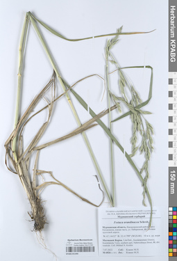 KPABG051990