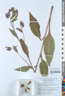 KPABG052024