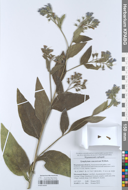 KPABG052025