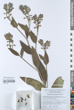 KPABG052026
