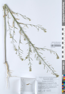 KPABG052029