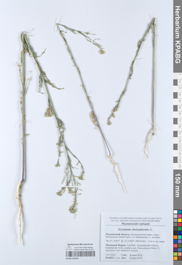 KPABG052030