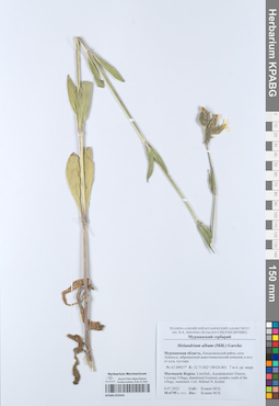 KPABG052034