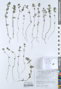 KPABG052044