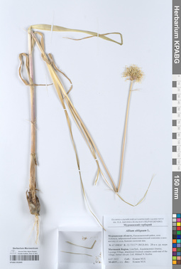 KPABG052045