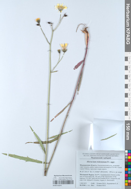 KPABG052075