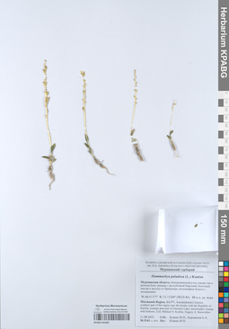 KPABG052082