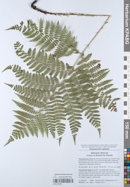 KPABG052085