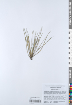 KPABG052097