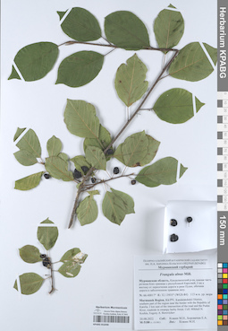 KPABG052098