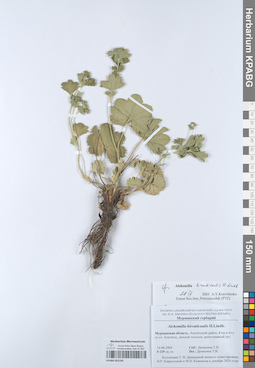 KPABG052105