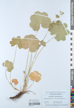 KPABG052108