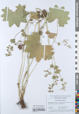 KPABG052110