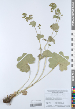 KPABG052138