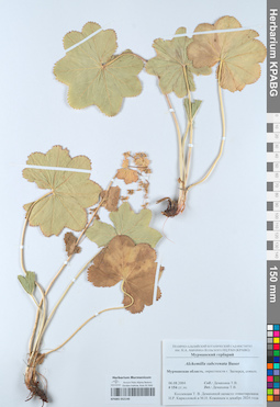KPABG052140