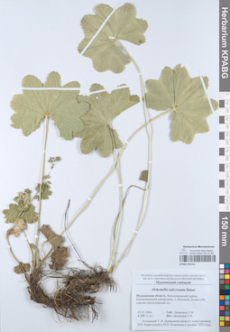 KPABG052141