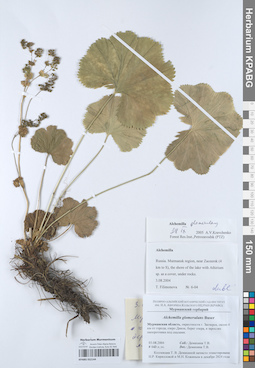 KPABG052144