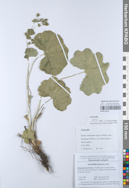 KPABG052146