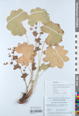 KPABG052148