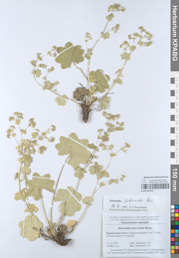 KPABG052149