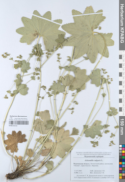 KPABG052152