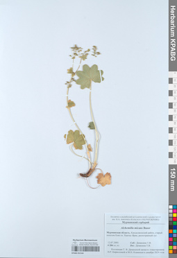 KPABG052164