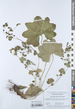 KPABG052172