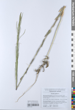 KPABG052184