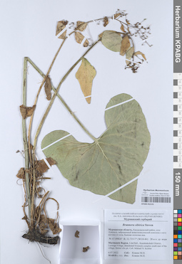 KPABG052191