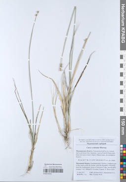 KPABG052591
