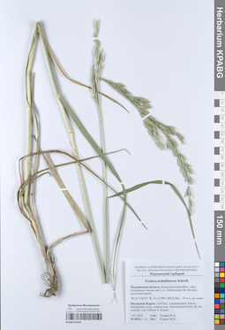 KPABG052802