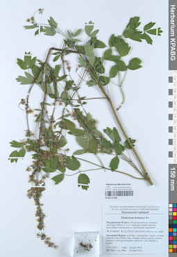 KPABG055008