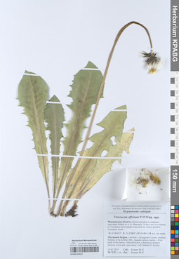 KPABG055014