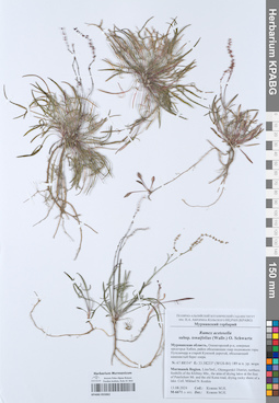 KPABG055062