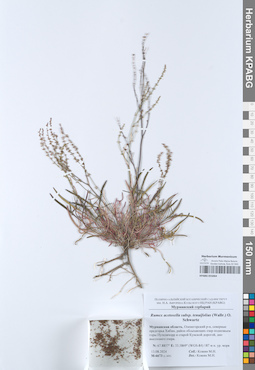 KPABG055064