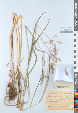 KPABG050429