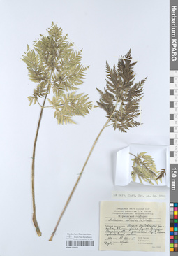 KPABG050432