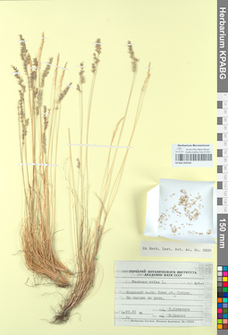 KPABG050438
