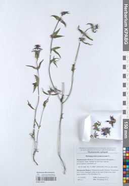 KPABG050444
