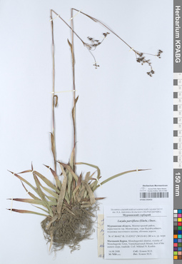 KPABG050453