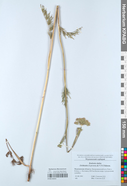 KPABG050454