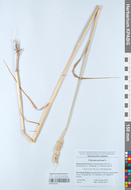 KPABG050456