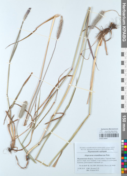 KPABG050497