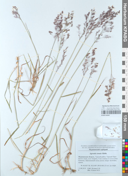 KPABG050499